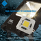 100 Watt AC LED CHIP Vollspektrum Weiß 3000k 6000k High Cri AC COB LED Chip
