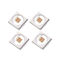 Hoher Chip 630-640nm LED SMD 1W 0.5W PPF SMD 3030 LED