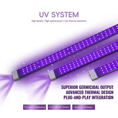 UVC Solutions 365 nm 370 W 100 W 120 W UV-keimtötende Lampenlieferanten Fern-UVC-Licht-Excimer-Lampe