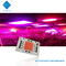 50W AC200-240V 40x60mm PFEILER Wechselstroms LED volles Spektrum 380-780nm mit schnelleren Verbindungsstücken