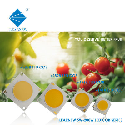 6W 9W RA70/80/90/95 Hocheffizienter Flip Chip LED COB für Wandleuchte und Scheinwerfer