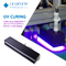 Kollodiales kurierendes UVlampen-System tragbar für die Tinte, die Drucken 3D kuriert