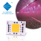 Full Spectrum AC 50w LED COB Chip 200v 240v 4046 AC LED Chip für Wachstumslicht