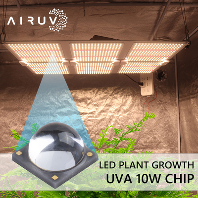 10W 365nm 385nm 395nm 6-7V Uva 3W führte Chips For-UVkurieren