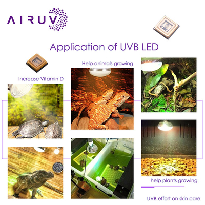 Uva-Uvb-UV-LED-Chip 3535 3838 2828 1616 1w 3w 10w 50w 100w 200w 300w Led UVc Led Chip