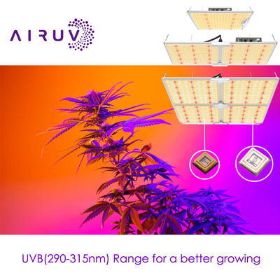 10w 20w 100w UVA UVB UVCLED COB Hochwirksamkeit 365nm 385nm 395nm Kosteneffiziente Led