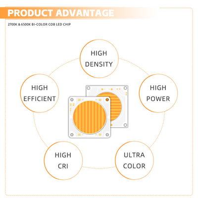 150W+150W Dual Color COB Bead 2700-6500k Hohe Helligkeit 300W Fotografie Licht LED Chip