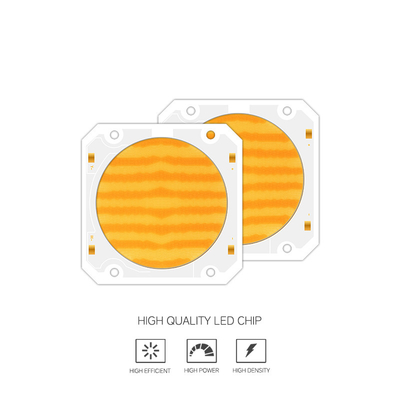 OEM ODM Wellenlänge BI Farbe 205V SMD LED-Chip Warmes Weiß + Weiß 6060 SMD LED-Chip Ausstrahlung
