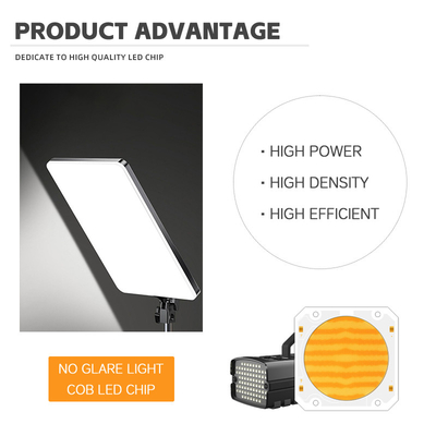 OEM ODM Wellenlänge BI Farbe 205V SMD LED-Chip Warmes Weiß + Weiß 6060 SMD LED-Chip Ausstrahlung