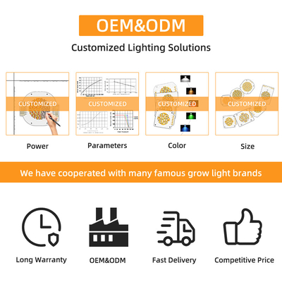 High Power Bi Color 300W 6060 Flip Chip Custom Cob Led Chip für kommerzielle Led-Leuchte Bühnenlicht