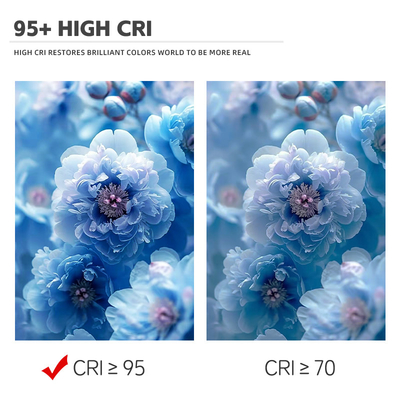 6060 Bi-Color 2700K 6500K CCT Hochleistungs-LED-Chipmodul für Fotografie