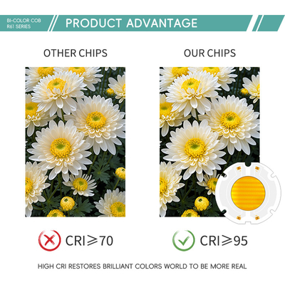 Fabrikpreis 60X60MM Bi-Color LED-Chips SMD LED-Panel Voll RGB Farbperlen 200W Chip