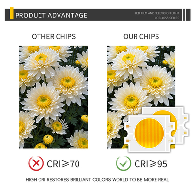 Dual CCT 2700K+6500k Zweifarbig Warm+Cool Weiß CRI 70 80 90 95 Hochleistung 100W 200W 300W COB LED Chip Zweifarbig