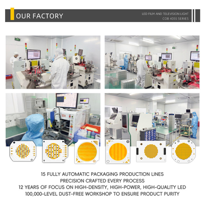 Dual-Colour-LED 4055 300W + 300W Warm + Cool Weiß COB Bi-Color