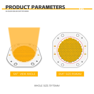 Customized High CRI Powerful 200W 300W 500W 600W 700W 1200W COB Chip LED Board LED Light Module