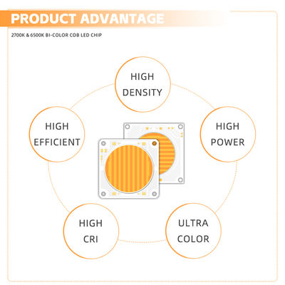 57V COB-Lichtquelle 150W 200W Konstantspannung Warmweiß Zwei Farben Optional Großhandel Unterstützung