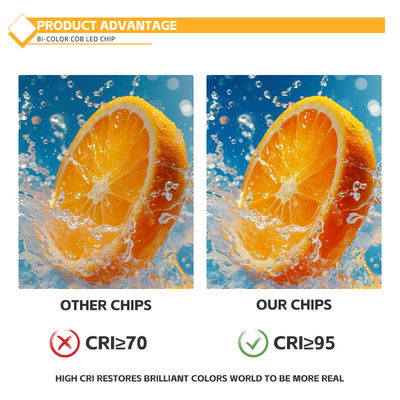 Downlights Strahler 36W Bicolor LED COB Chip Einstellbar Dimmbar CRI90 2700K 4000K Schienenleuchten Fabrikpreis