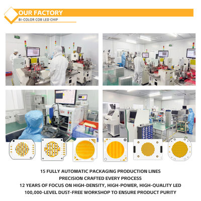 Kundenspezifisches Aluminiummaterial COB-Chip 2424 in Weiß, Blau, Rot & Grün, hohe Helligkeit, China-Fabrik