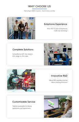 Advanced 365nm 385nm 395nm High Power UVA LED SMD6868 10W High Lumen 6.0-7.0V UV-Licht für das Wachstum von Gewächshäuserpflanzen UV-Heilung