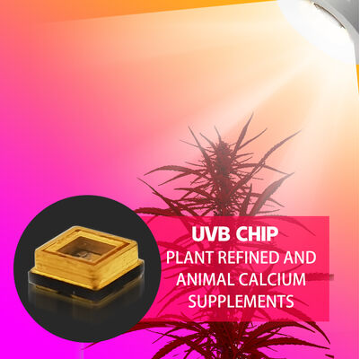 Schönheit UVB 3W Chip 315nm Fabrikpreis 3535 LED Diode SMD 311nm 500mA Bräunungslampe LED Diode SMD 306nm 295nm 110mW