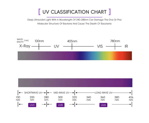 100W 120W UV-Bräunungsschlauch 365Nm Uva 310Nm Uvb 10 1 Verhältnis 1.8M 2.0M Quecksilberlampe Ersatz CE TSGK zertifiziert