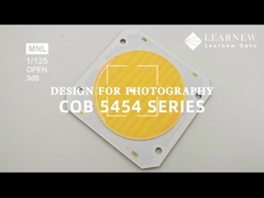 5454 Doppelfarbtemperaturchip