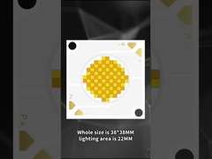 3838 Doppel-Farben-COB-LED